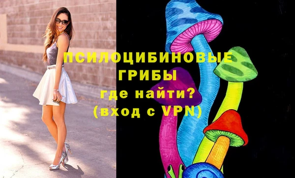 mix Надым